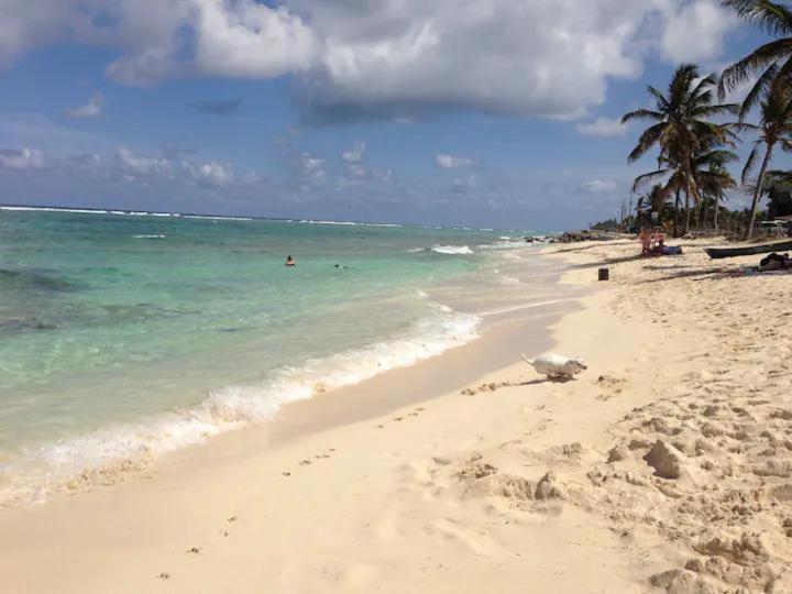 Apartamento Edificio Hansa Alado De La Playa San Andrés
